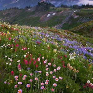 Meet your Posher, Raquel